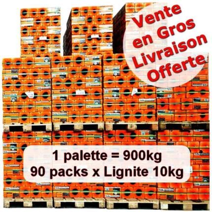 Briquette de lignite